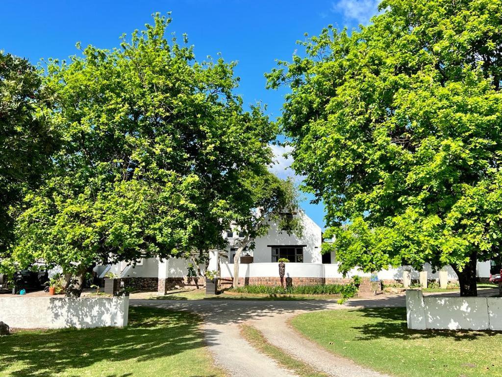 Bitou River Lodge Plettenberg Bay Ngoại thất bức ảnh