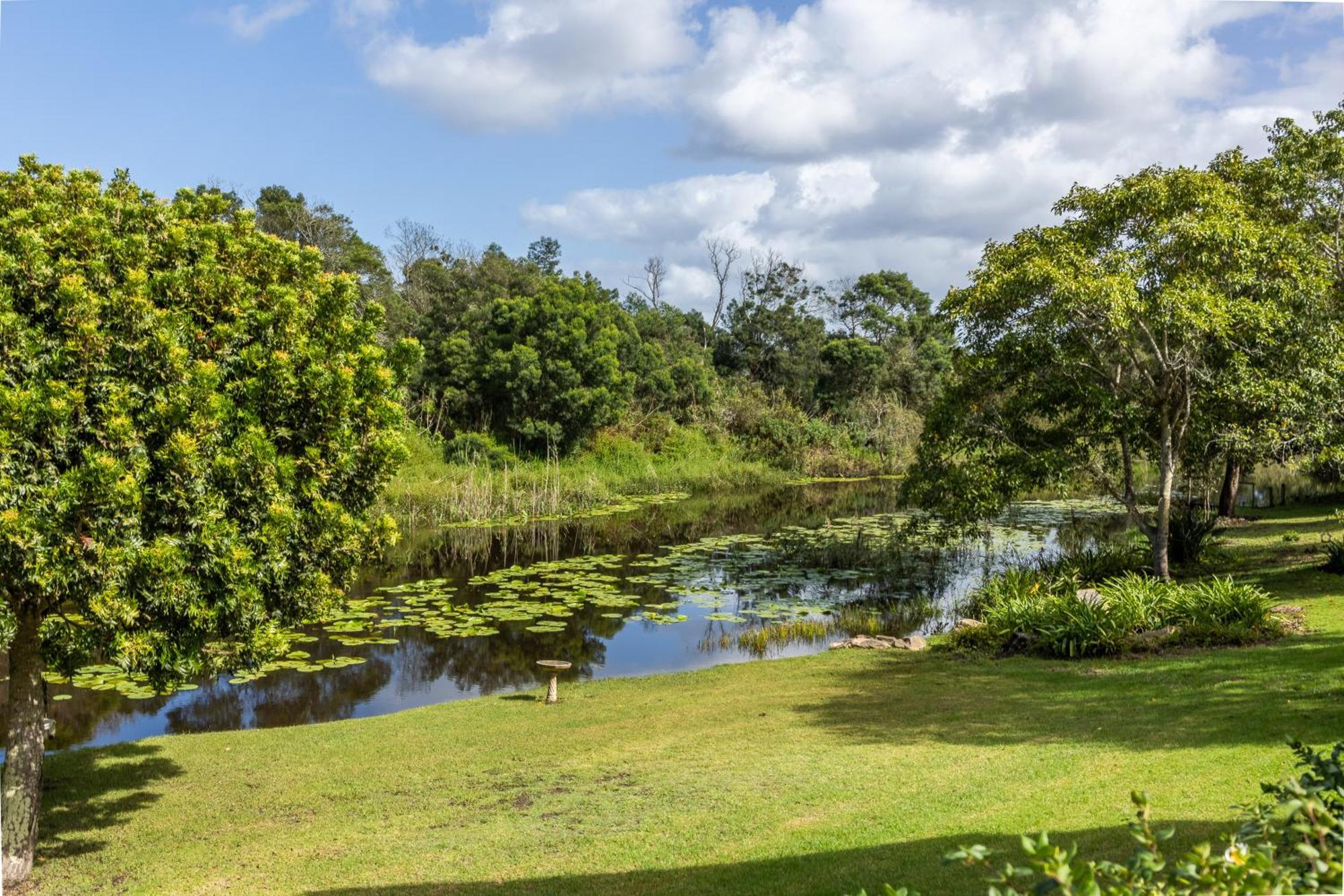 Bitou River Lodge Plettenberg Bay Ngoại thất bức ảnh